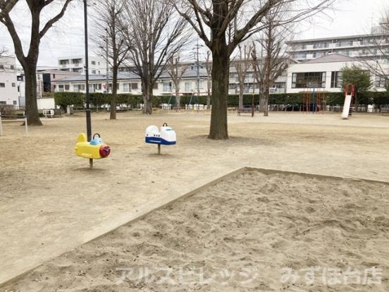 松の木公園の画像