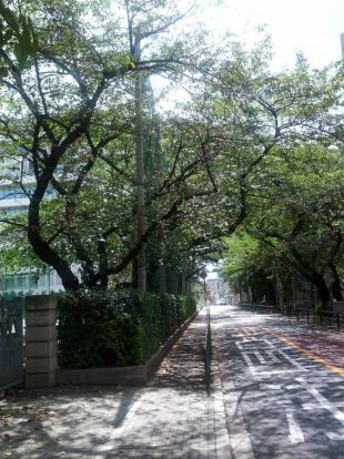 私立跡見学園中学校の画像