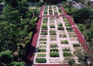 名古屋市立大学薬学部薬用植物園の画像