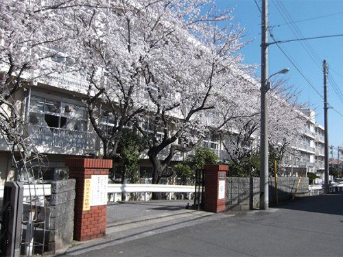 宮野木小学校の画像