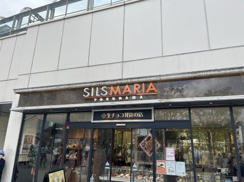 シルスマリアCIAL桜木町店の画像