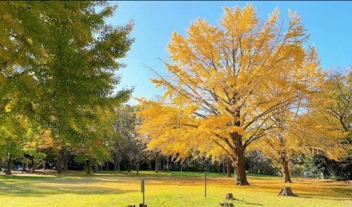 みつわ台第1公園の画像