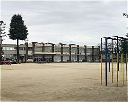 松戸市立小金小学校の画像