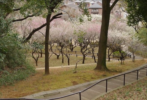 岡村公園の画像