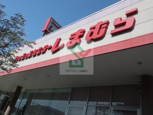 ファッションセンターしまむら東所沢店の画像