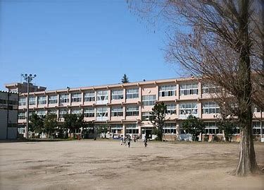 鳥取市立湖山小学校の画像