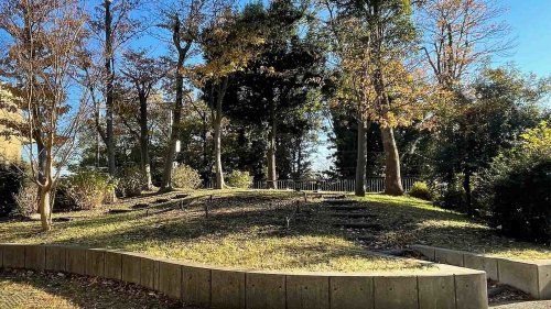 桜美林公園の画像