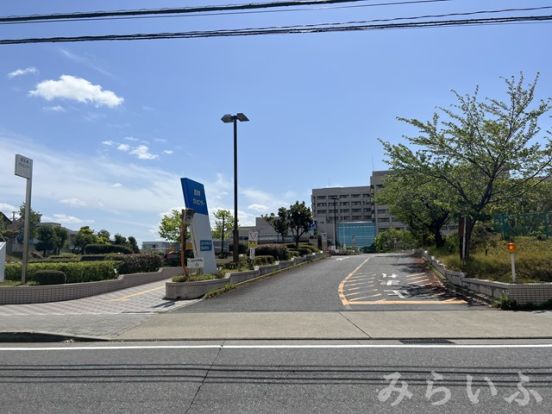 愛知県がんセンターの画像