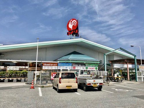 コメリハード&グリーン彦根稲枝店の画像