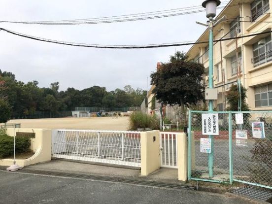 奈良市立伏見南小学校の画像