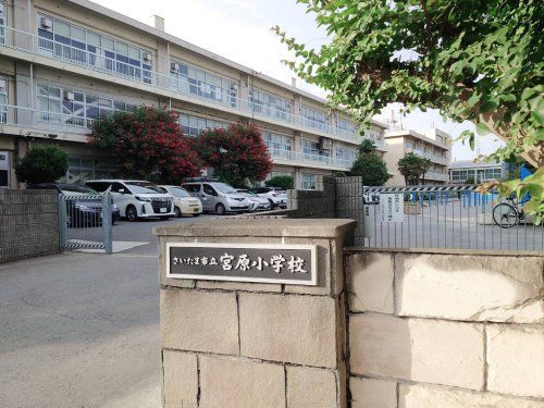 さいたま市立宮原小学校の画像