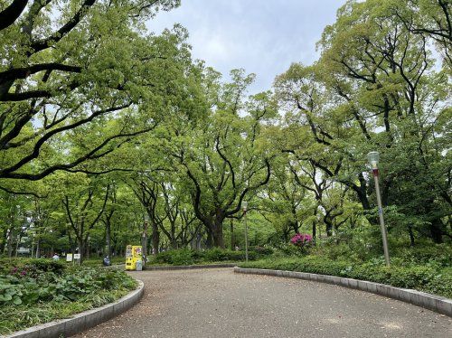 靱公園の画像