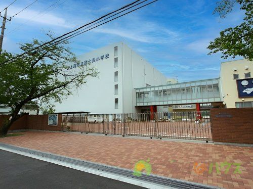 上尾市立富士見小学校の画像