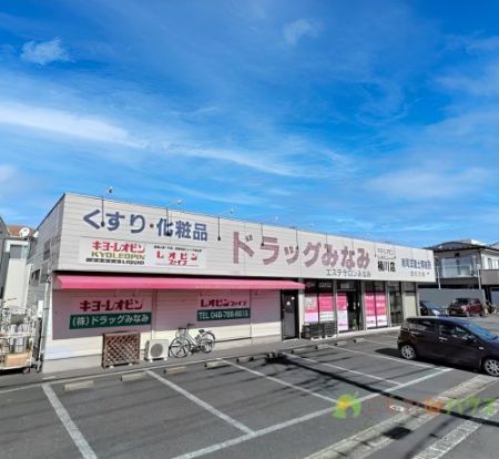 ドラッグみなみ桶川店の画像