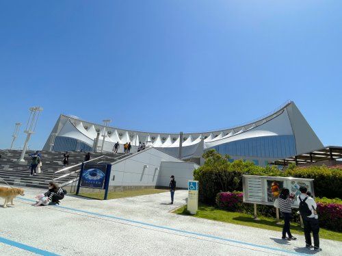 マリンワールド海の中道の画像