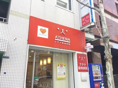 アテナ動物病院 赤坂店の画像