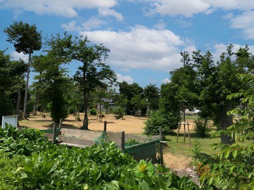 宮内緑地公園の画像
