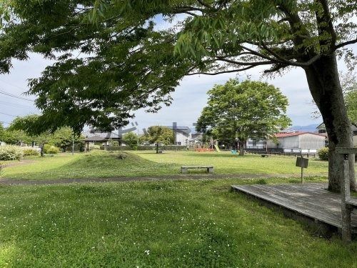 郡元６号街区公園の画像