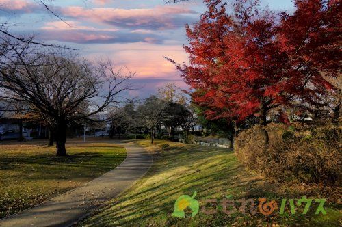 あかぎ公園の画像