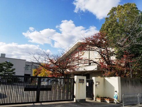 京都市立桃山南小学校の画像