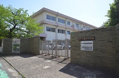 筒井小学校の画像