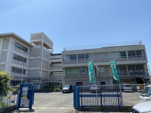 桜小学校の画像