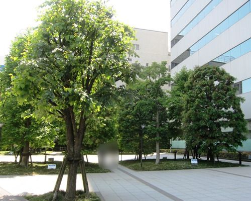 西新宿プライムスクエア公開空地の画像