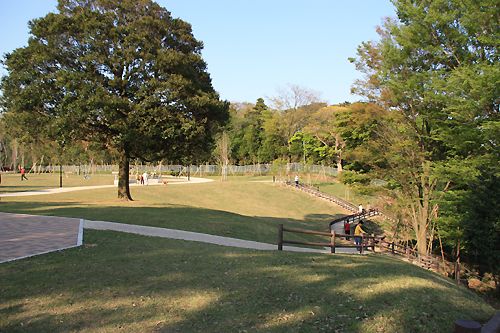 高野山桃山公園の画像