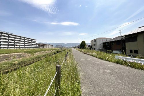 山科川 堤防（桃山南口駅付近）の画像