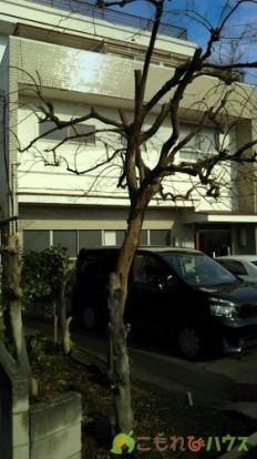 柿沢医院の画像