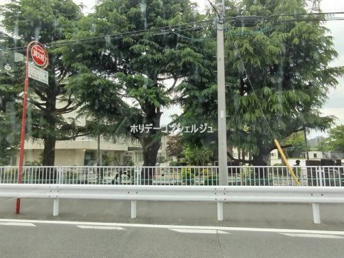 川崎市立下沼部小学校の画像