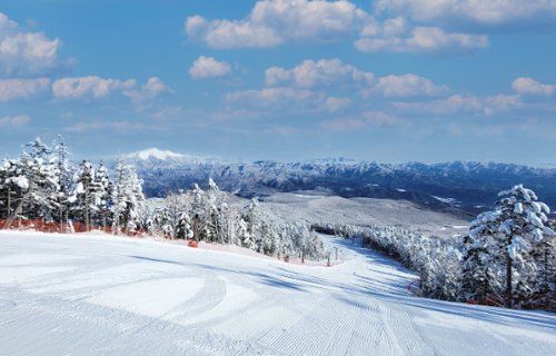 開田高原マイアスキー場の画像