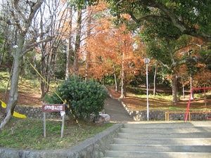 伊加賀山公園の画像