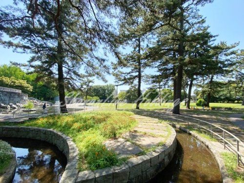 相模大野中央公園の画像