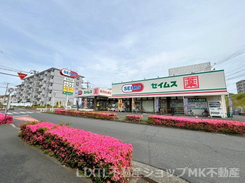 ドラッグセイムス 柳瀬川店の画像