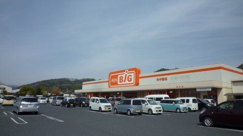 The Big(ザ・ビッグ) 新市店の画像