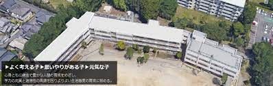 東久留米市立第九小学校の画像