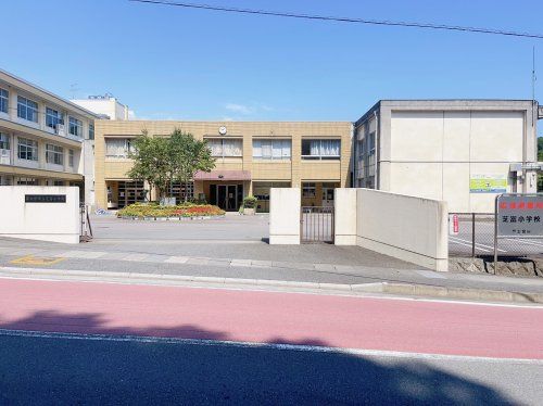富士宮市立芝富小学校の画像