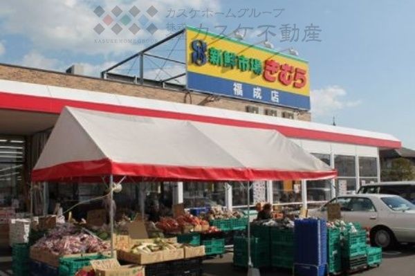 新鮮市場きむら 福成店の画像