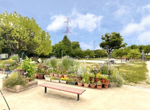 阪今池公園の画像