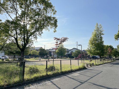 筑紫神社前公園の画像