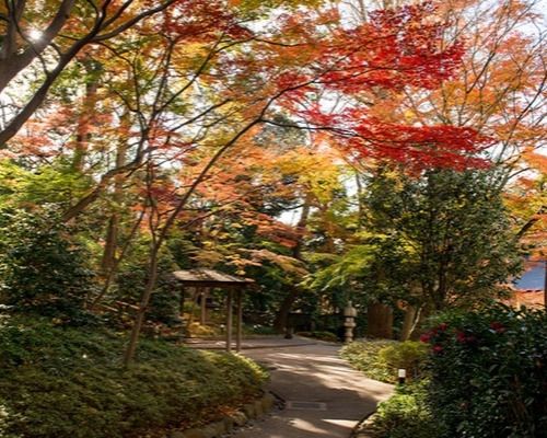 シェラトン都ホテル東京 日本庭園の画像