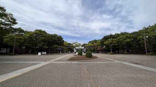 昭和記念公園の画像