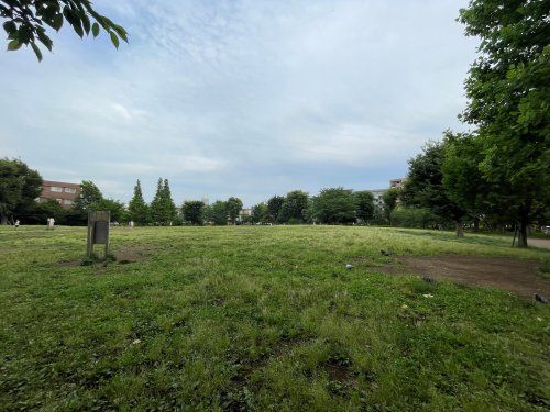 練馬区立中村かしわ公園の画像