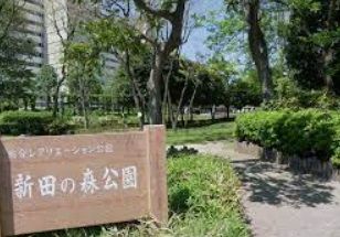 新田の森公園の画像