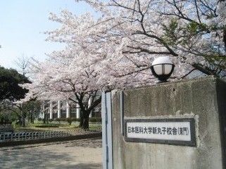 日本医科大学新丸子校舎の画像