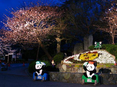 神戸市立王子動物園の画像