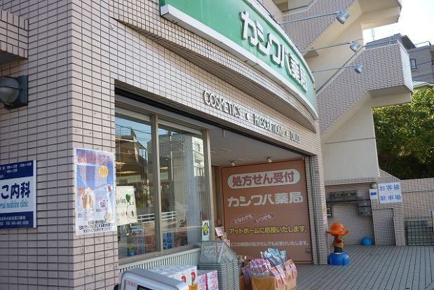 カシワバ薬局　柏葉店の画像