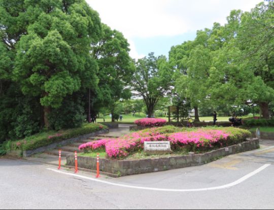 屋敷近隣公園の画像