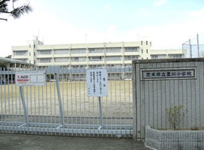 茨木市立 豊川小学校の画像